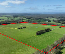 Rural / Farming commercial property sold at 125 Rankins Road Irrewillipe VIC 3249