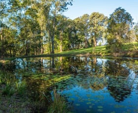 Rural / Farming commercial property for sale at 180 Hewens Road Brombin NSW 2446