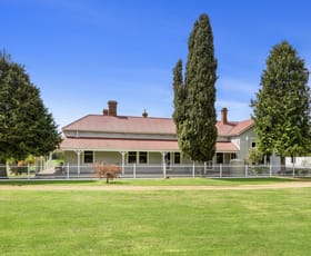 Rural / Farming commercial property sold at 696 Back Eildon Road Thornton VIC 3712