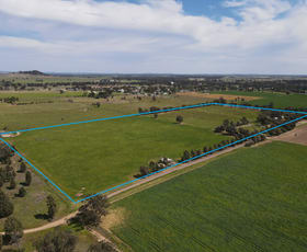 Rural / Farming commercial property sold at 54 Hillview Lane Eugowra NSW 2806