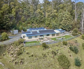 Rural / Farming commercial property for sale at 28 Camerons Road Mole Creek TAS 7304