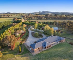 Rural / Farming commercial property for sale at 131 Nashdale Lane Orange NSW 2800