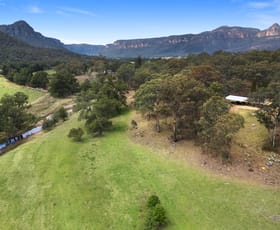 Rural / Farming commercial property sold at 399 The Gullies Road Glen Davis NSW 2846