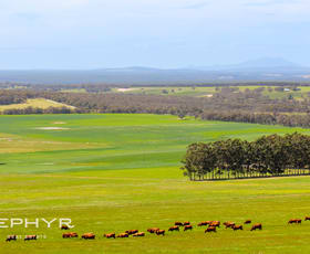 Rural / Farming commercial property for sale at 139 Takalarup Road Takalarup WA 6324
