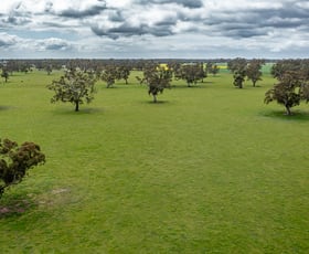 Rural / Farming commercial property for sale at 58 Camerons and Lampards Road Charam VIC 3318