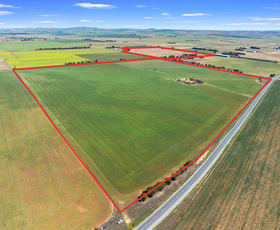 Rural / Farming commercial property for sale at 1 Tohls Road Booborowie SA 5417