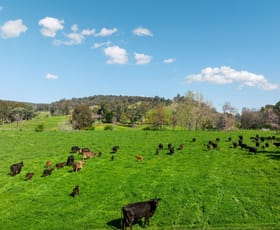 Rural / Farming commercial property for sale at 315 Davies Road Warrenbayne VIC 3670