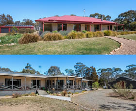 Rural / Farming commercial property for sale at 385 Foxs Elbow Road Warri NSW 2622