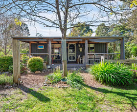 Rural / Farming commercial property for sale at 62 Gregory Road Nicholson VIC 3882