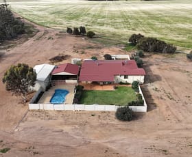 Rural / Farming commercial property for sale at 10520 Emu Fence Road Hyden WA 6359