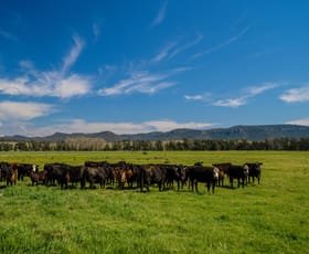 Rural / Farming commercial property for sale at 931 Martindale Road Denman NSW 2328