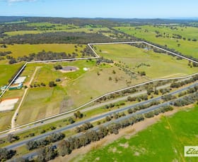 Rural / Farming commercial property for sale at Tocumwal NSW 2714