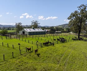 Rural / Farming commercial property sold at 330 Fosterton Road Dungog NSW 2420