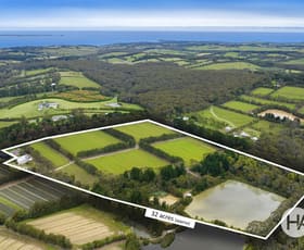 Rural / Farming commercial property for sale at 1438 Mornington Flinders Road Main Ridge VIC 3928