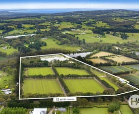 Rural / Farming commercial property for sale at 1438 Mornington Flinders Road Main Ridge VIC 3928