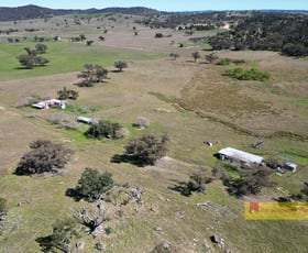 Rural / Farming commercial property for sale at 317 Uungula Road Wuuluman NSW 2820