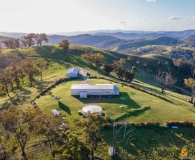 Rural / Farming commercial property for sale at Lot 1 2553 Campfire Road Walcha NSW 2354