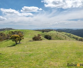 Rural / Farming commercial property for sale at Lot 4/2553 Campfire Road Walcha NSW 2354
