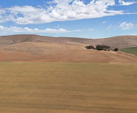 Rural / Farming commercial property sold at 624 Case Rd Bundaleer North SA 5491