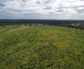 Rural / Farming commercial property for sale at Merriwa NSW 2329