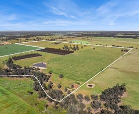 Rural / Farming commercial property sold at Lot 1 Goornong - Mayreef Road Goornong VIC 3557