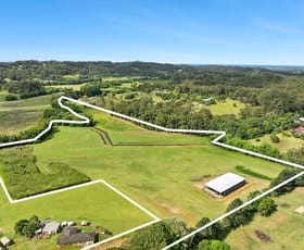 Rural / Farming commercial property for sale at 56 Spalls Road Diddillibah QLD 4559