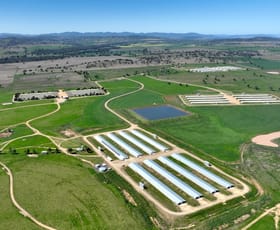 Rural / Farming commercial property for sale at 307 Rushes Creek Road Klori NSW 2346