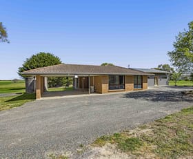 Rural / Farming commercial property for sale at 878 Challicum Road Buangor VIC 3375