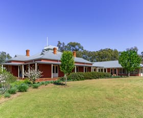 Rural / Farming commercial property for sale at 362 Morangarell Road West Wyalong NSW 2671