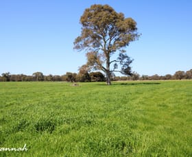Rural / Farming commercial property sold at Naracoorte SA 5271
