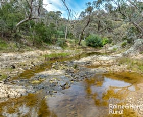 Rural / Farming commercial property for sale at Lot 74 Cullerin Road Cullerin NSW 2581
