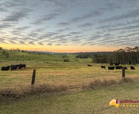 Rural / Farming commercial property sold at Yungaburra QLD 4884