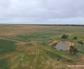 Rural / Farming commercial property sold at 101 West Binnu Road West Binnu WA 6532