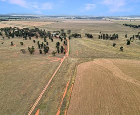 Rural / Farming commercial property for sale at 'Werona' 904 North Yalgogrin Road Tallimba NSW 2669