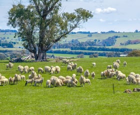 Rural / Farming commercial property sold at 3444 Laggan Road Crookwell NSW 2583