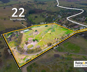 Rural / Farming commercial property for sale at 97 Bulla Road Bulla VIC 3428