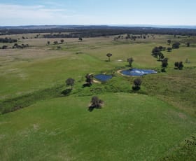 Rural / Farming commercial property for sale at 424 Trebane Road Crowther NSW 2803