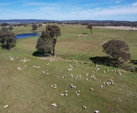 Rural / Farming commercial property for sale at 424 Trebane Road Crowther NSW 2803