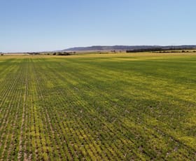 Rural / Farming commercial property sold at Allotment 78 Augusta Highway Crystal Brook SA 5523