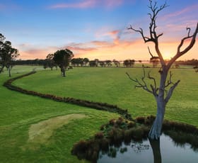 Rural / Farming commercial property for sale at 1380 Princes Highway Hillside VIC 3875