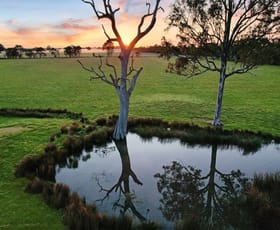 Rural / Farming commercial property for sale at 1380 Princes Highway Hillside VIC 3875