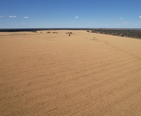 Rural / Farming commercial property for sale at 3282 Gungalman Road Carinda NSW 2831