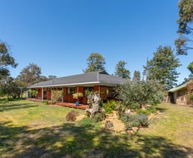 Rural / Farming commercial property for sale at 1473 Pranjip Road Pranjip VIC 3666