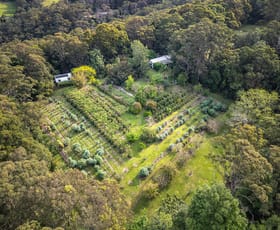 Rural / Farming commercial property sold at 386 The Ridgeway Lisarow NSW 2250