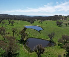 Rural / Farming commercial property for sale at 195 Burges Road Caloola NSW 2795