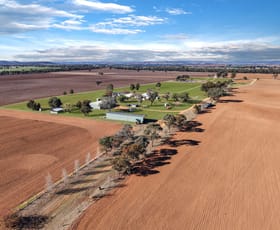 Rural / Farming commercial property for sale at 104 Selection Road Cowra NSW 2794