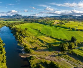 Rural / Farming commercial property for sale at 480 Kimbriki Road Kimbriki NSW 2429