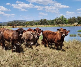 Rural / Farming commercial property for sale at 275 Nantglyn Road, Mundowran Mundubbera QLD 4626