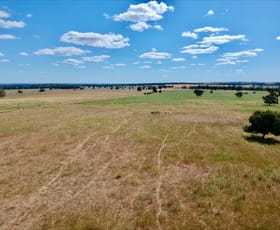 Rural / Farming commercial property for sale at 1032 Manna Forest Rd Burcher NSW 2671
