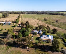 Rural / Farming commercial property for sale at 251 Pattersons Lane Young NSW 2594